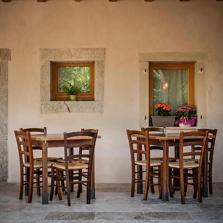 Agriturismo Il Bosco Camere Vittorio Veneto Eksteriør billede