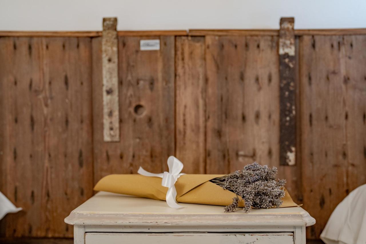 Agriturismo Il Bosco Camere Vittorio Veneto Eksteriør billede